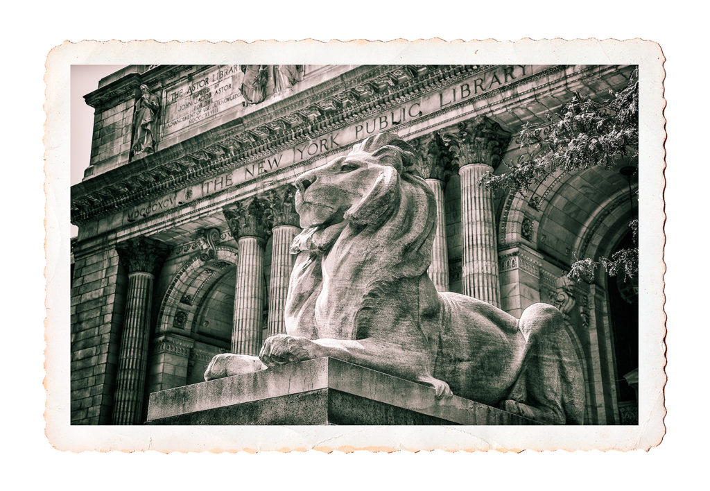 B&W postcard photo of statue of lion outside New York Public Library, New York City, USA