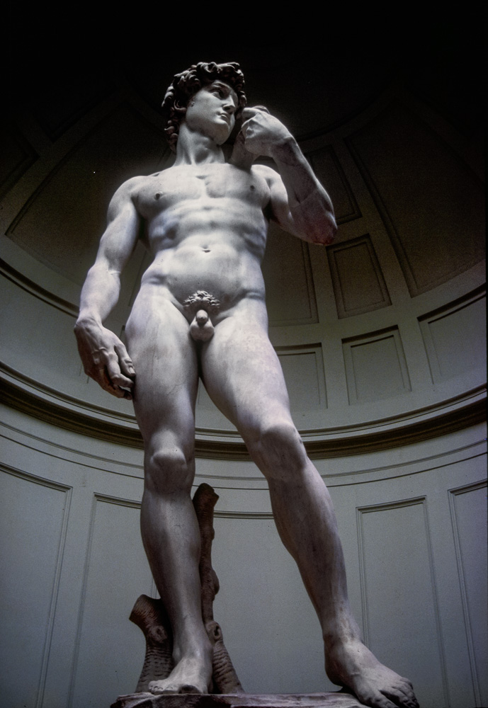 Photograph of Marble Statue of Michelangelo's David Florence, Italy