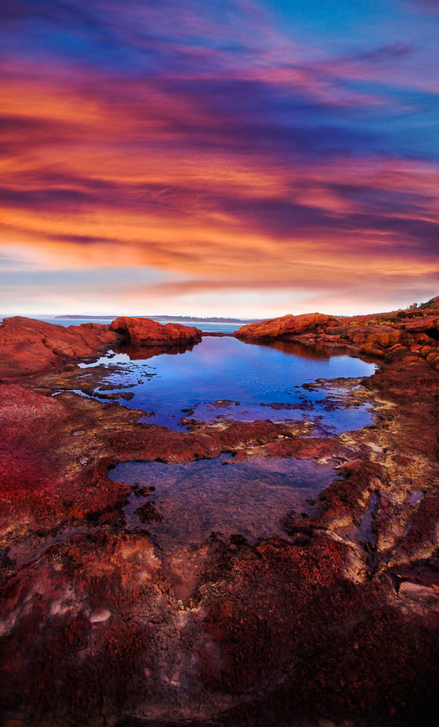 Colour photograph of a rock pool above the rocky coast of New South Wales, Australia